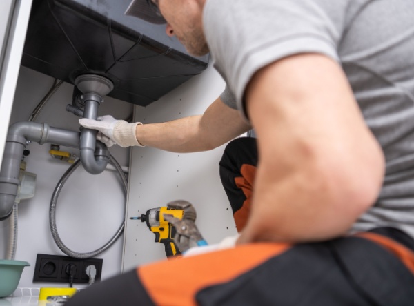 Shutterstock_2447578937